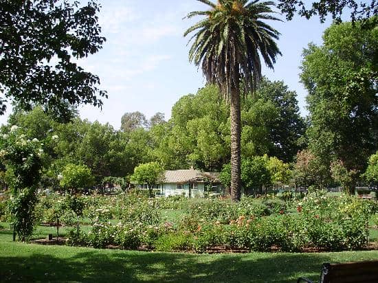 McKinley Rose Garden