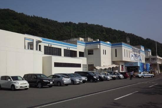 Close-Up Marine Encounters