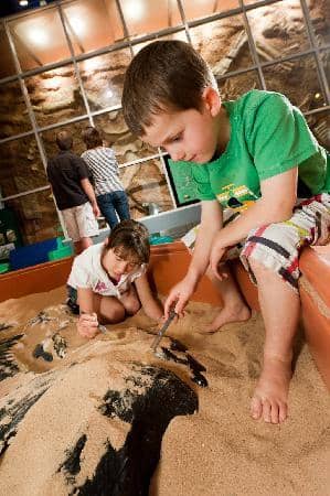 Life-Size Dinosaur Models
