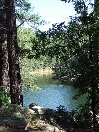 Peaceful Lake Views