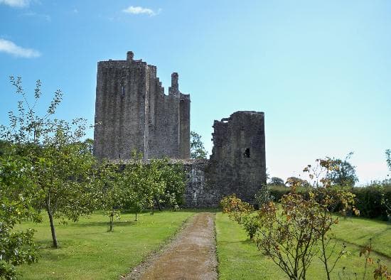Castle view from orchid