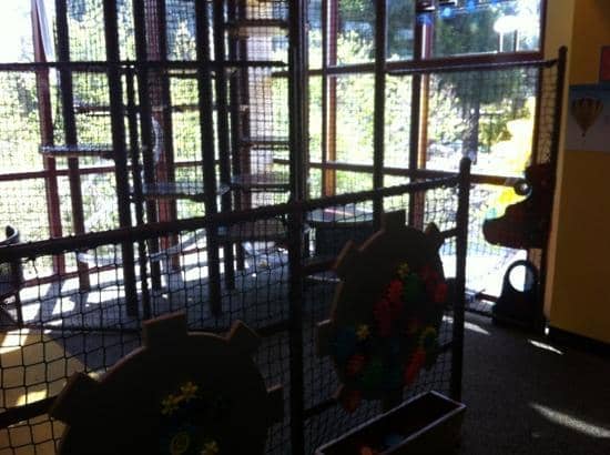 Toddler-Friendly Spaces