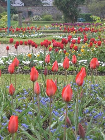 The Abbey's Fairytale Facade