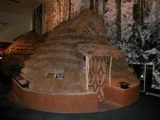 Ainu History & Culture