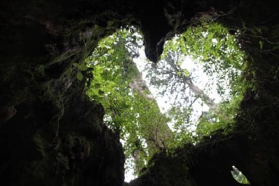 Shiratani Unsuikyo Ravine