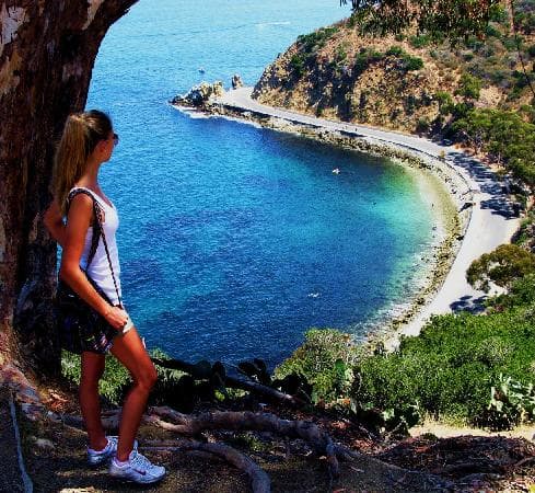 Overlooking the Cove