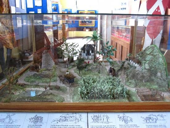 Island Formation Exhibits