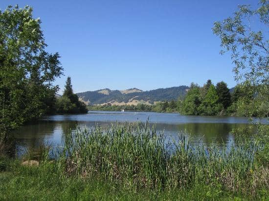 Lake Views & Wildlife Spotting