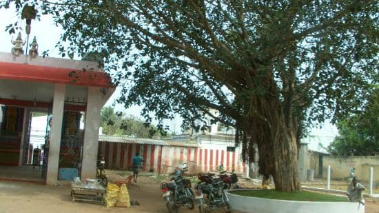 Kailasanathar Sanctum