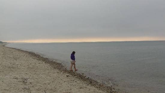 Dog-Friendly Beach Walks