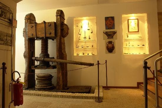 Museum il Museo dell'Olio d'Oliva