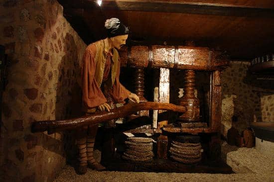 Olive Oil Tasting Experience