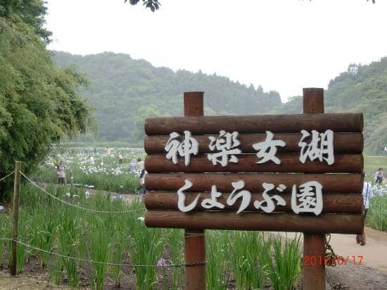 Peaceful Lakeside Walk