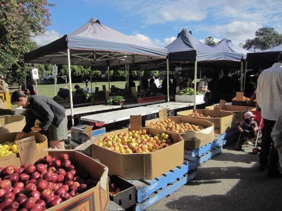 Bargains at the Davies Park Market