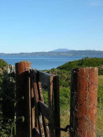Pristine White Sands