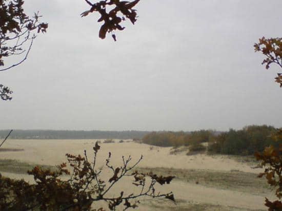 The Drifting Sands