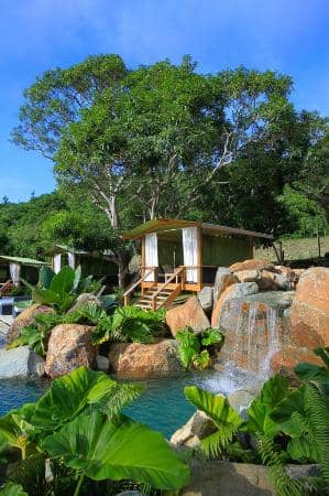 Jungle Pool Party