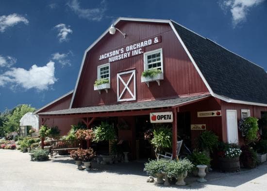 Welcome to Jackson's Orchard