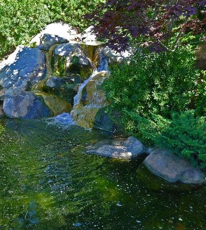 Zen Garden and Tea House