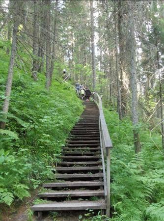 Scenic Walking Trails