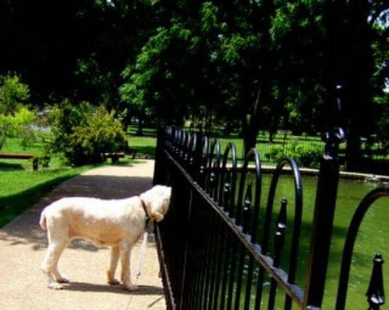 Duck Pond & Wildlife Feeding