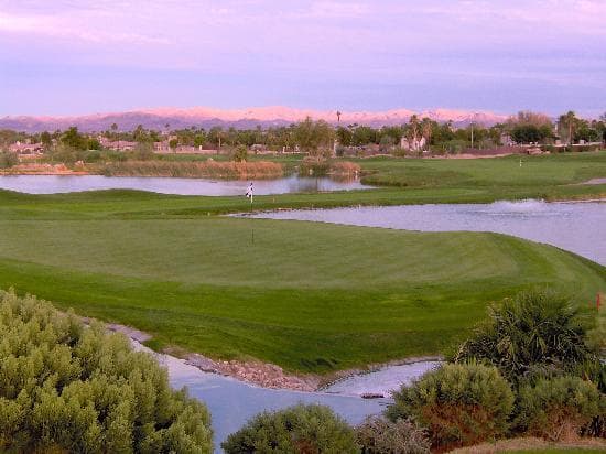 Wildhorse #9 green
