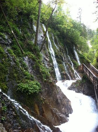 Vertical photo