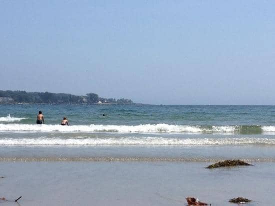 Sandy Shoreline Strolls