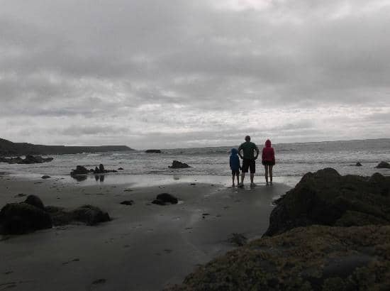 Rock Pooling Adventures