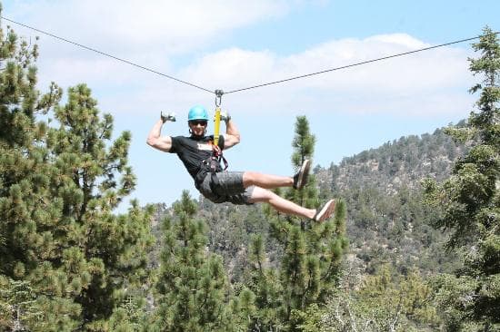zipping through the trees!