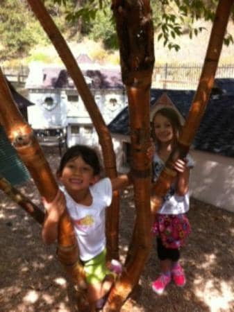 Playground Fun