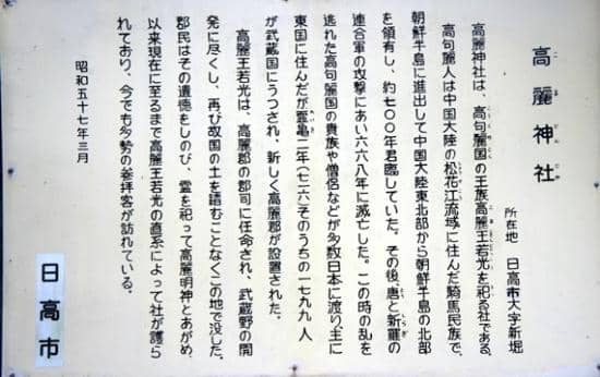 Scenic Forest Setting