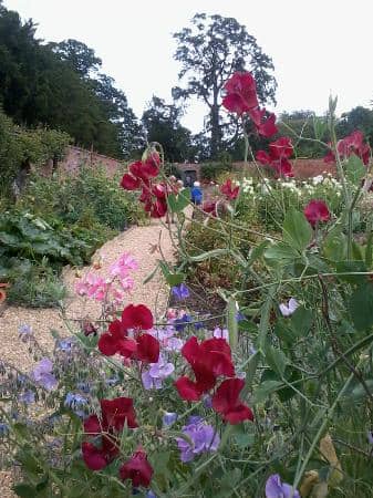 Servants Quarters Exhibition