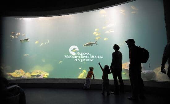 Interactive Children's Exhibits