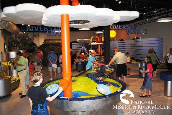 Otter & Other Wildlife Exhibits
