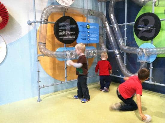Food-Themed Tunnel & Climbing Zone