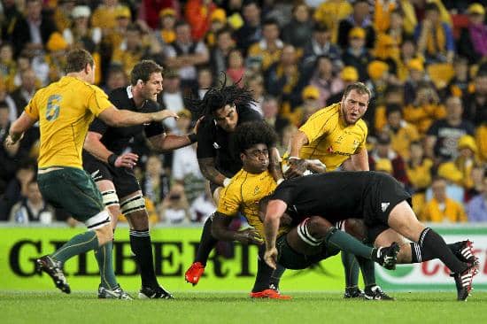 Community & Cultural Gatherings