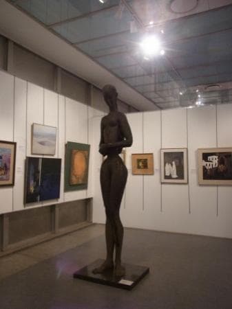 Pretoria Art Museum permanent collection