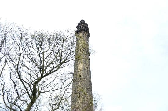 Vertical photo