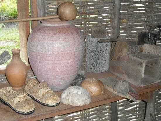 Creole Medicinal Garden