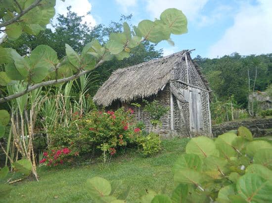 Creole Medicinal Garden