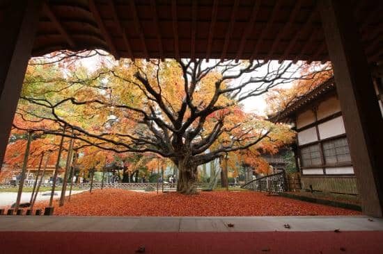 Kiyomizu Kannon Statue