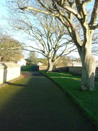 River Tweed and Coastal Views