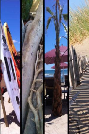 Pristine Sandy Shores