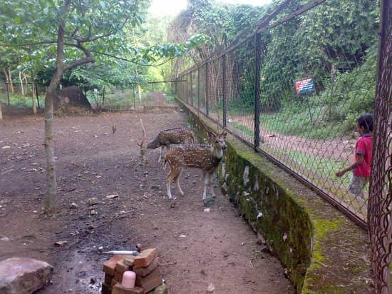 Deer Park