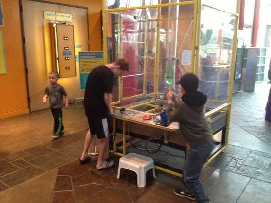 Interactive Exhibits