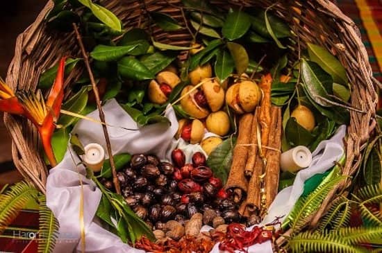 Estate Restaurant Dining