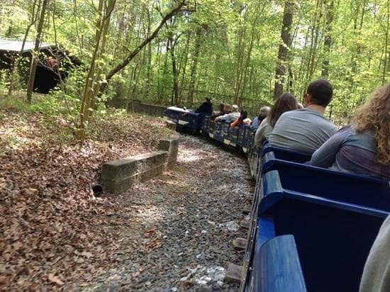 Children's Play Area