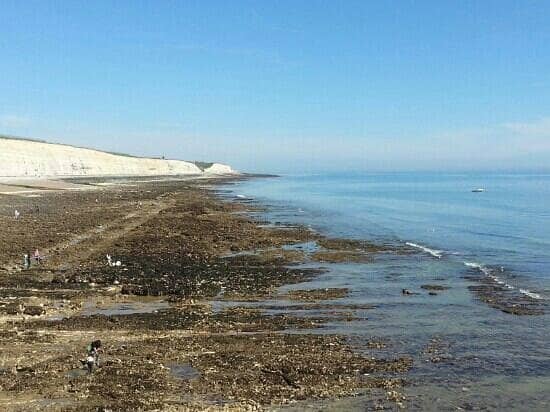 Secluded Beach Access