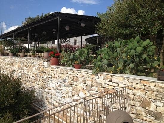 Exceptional Live Music